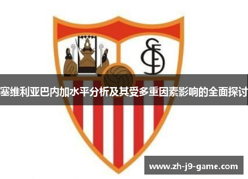 塞维利亚巴内加水平分析及其受多重因素影响的全面探讨