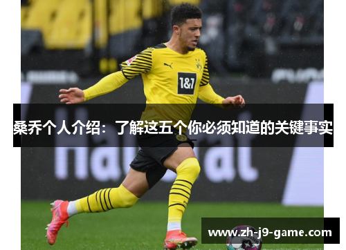 桑乔个人介绍：了解这五个你必须知道的关键事实