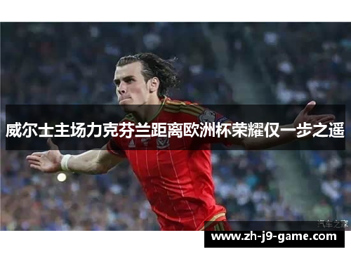 威尔士主场力克芬兰距离欧洲杯荣耀仅一步之遥 威尔士主场力克芬兰距离欧洲杯荣耀仅一步之遥
