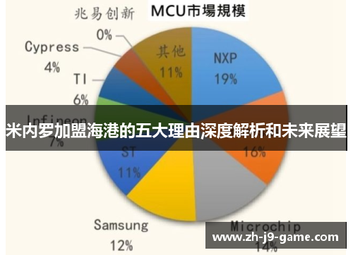 米内罗加盟海港的五大理由深度解析和未来展望